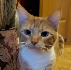 Meet your Posher, Kristy